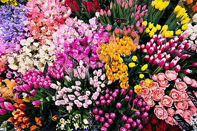 国产游戏《奇迹一刻》正式版在Steam上线 电竞恋爱